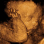 4d_image_1_small.jpg